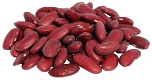 BEAN kidney bean